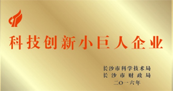 我公司获评为长沙市首批科技创新小巨人企业