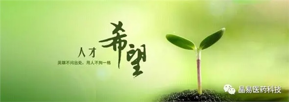 晶易医药获评就业见习基地与研究生培养创新基地，构筑人才发展新台阶